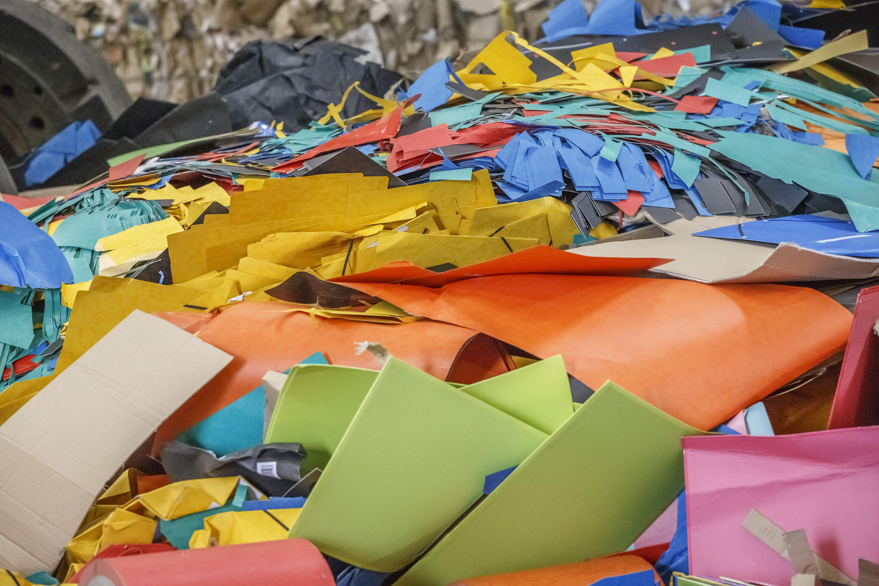 Paper recycling | Veolia