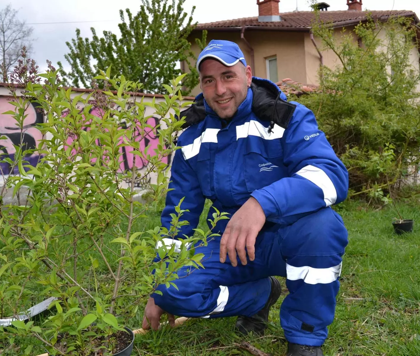 Planting Trees 17